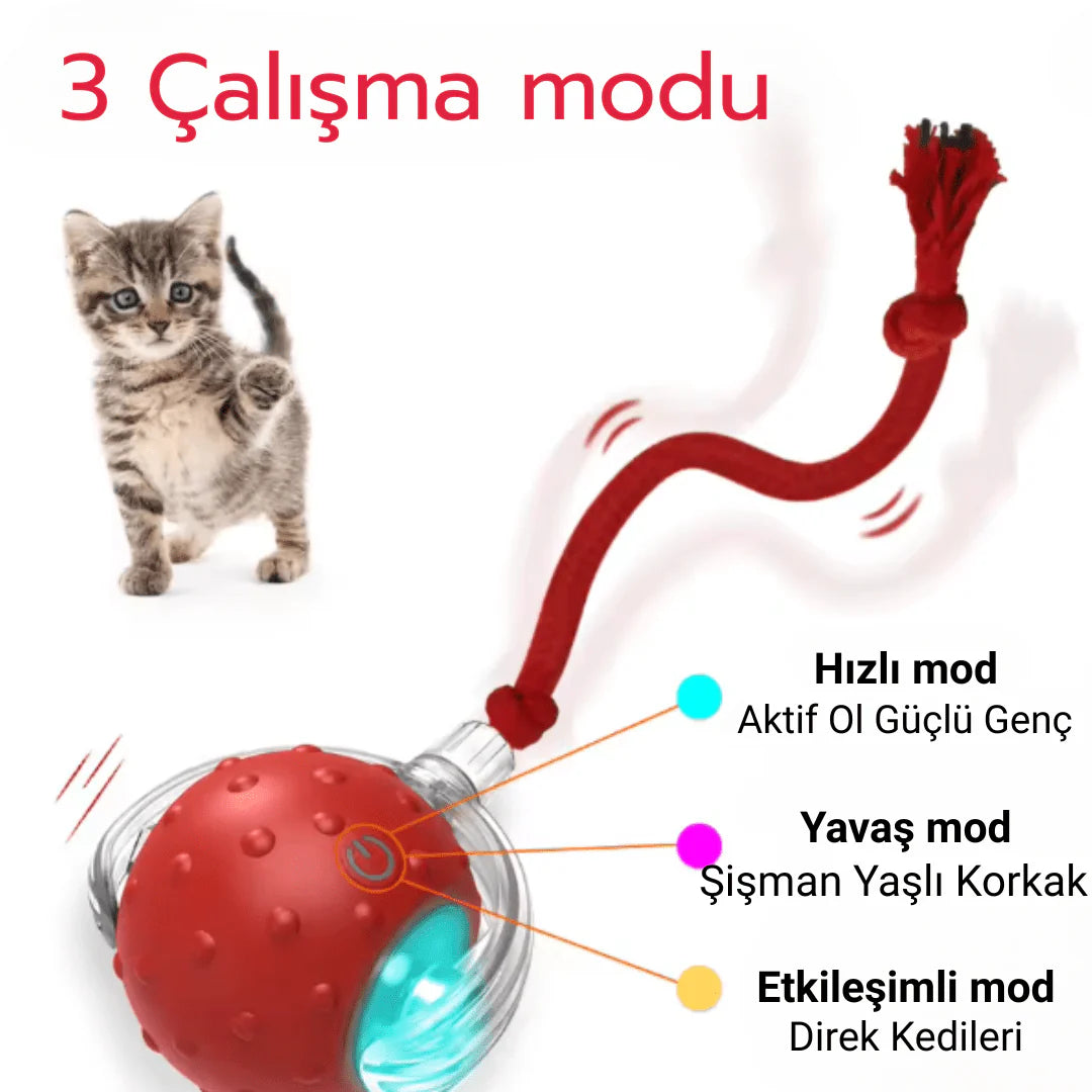 Patile 🐾 / Işıklı Otomatik Haraket eden Top