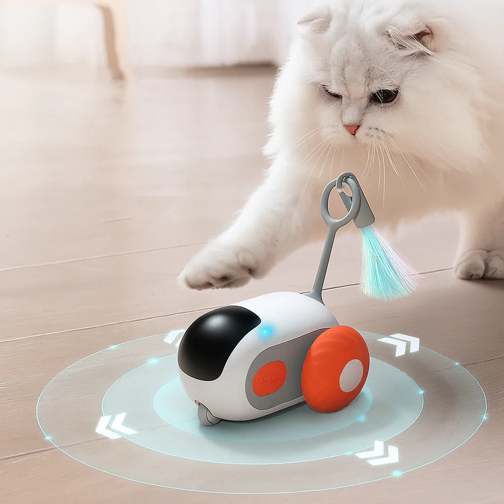 Patile 🐾 / Uzaktan Kumandalı Akıllı Kedi Oyuncağı