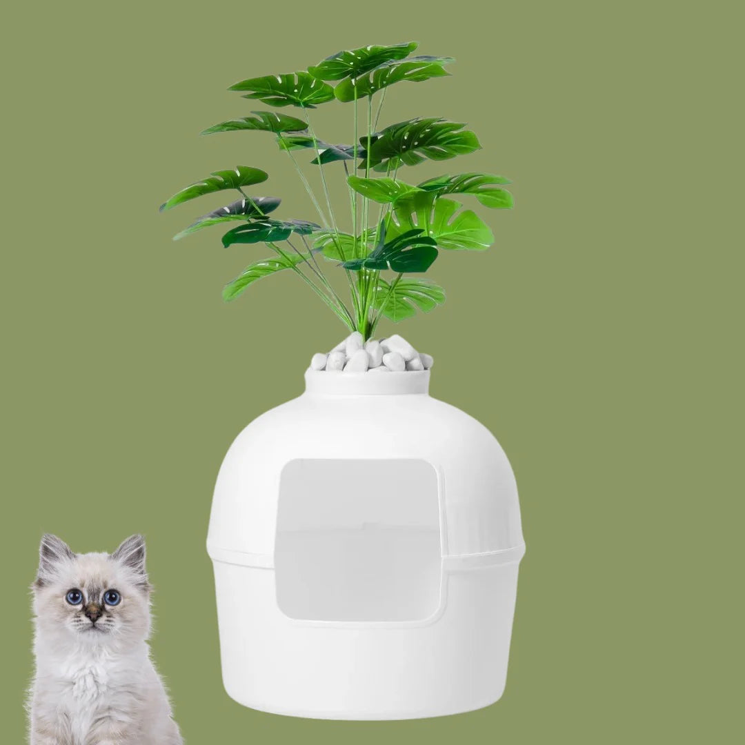 Patile 🐾 / Dekoratif Kedi Tuvaleti & Kedi Evi