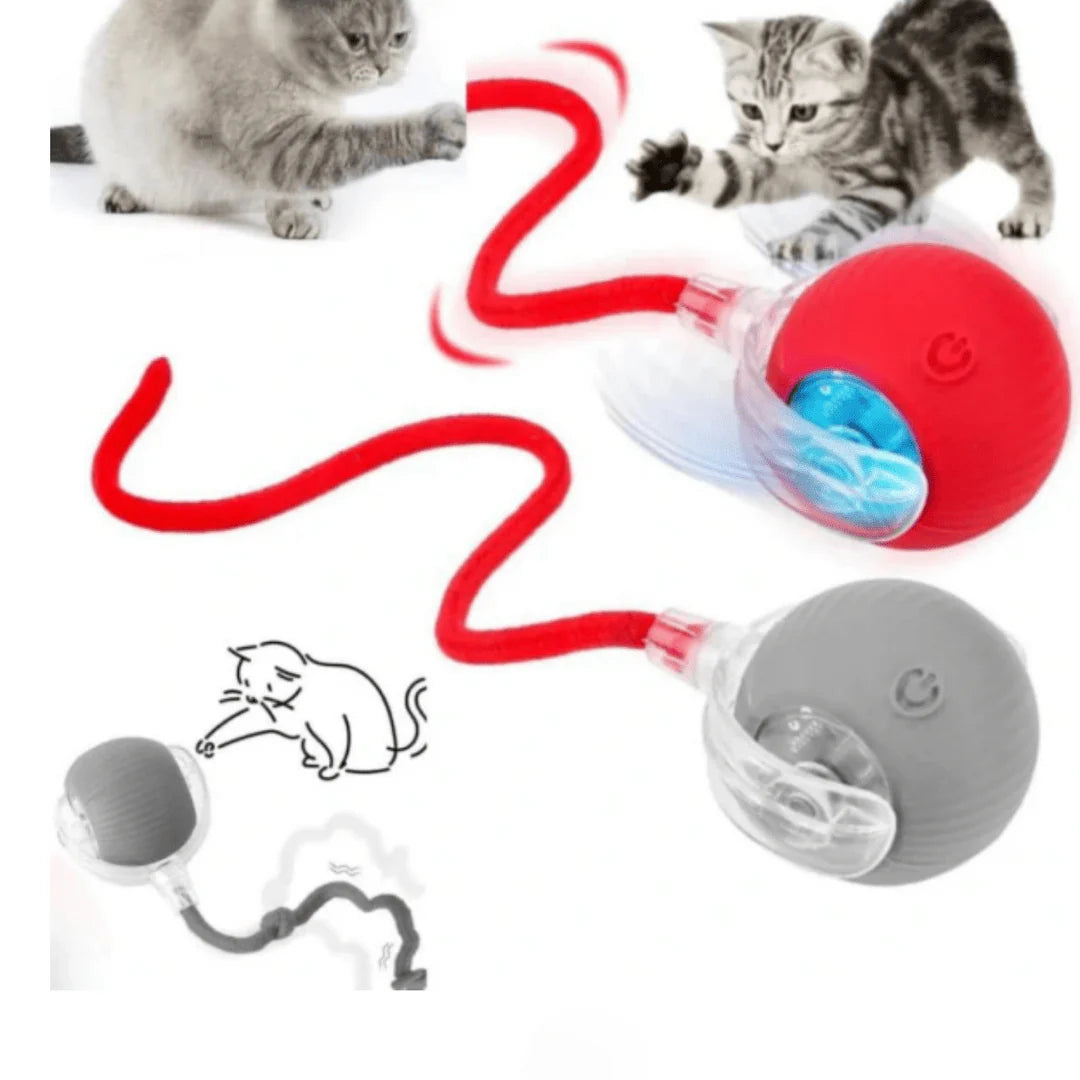 Patile 🐾 / Işıklı Otomatik Haraket eden Top