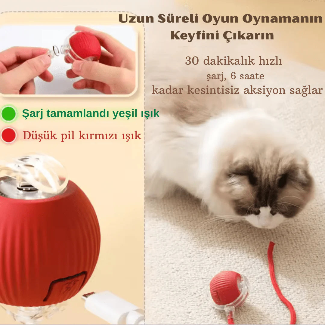Patile 🐾 / Işıklı Otomatik Haraket eden Top