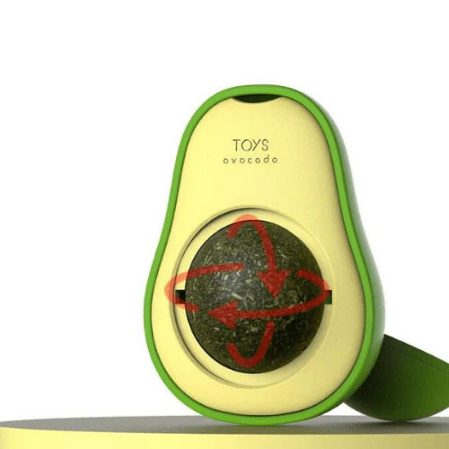 Patile 🐾 / Kedi Çimi Topu Oyuncağı