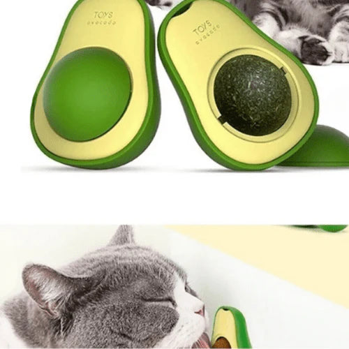 Patile 🐾 / Kedi Çimi Topu Oyuncağı