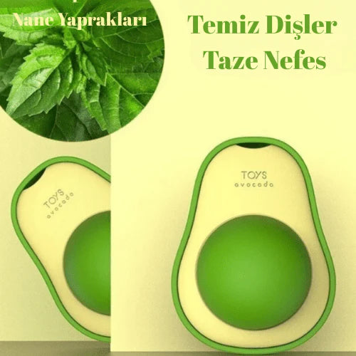 Patile 🐾 / Kedi Çimi Topu Oyuncağı