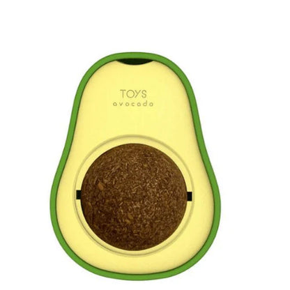 Patile 🐾 / Kedi Çimi Topu Oyuncağı